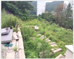  2024Ÿ21381 泲 ֽ 浿 160       ()