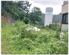  2024Ÿ21381 泲 ֽ 浿 160       ()