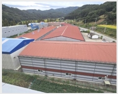  2024Ÿ21923 泲 ֽ  鱳 613      