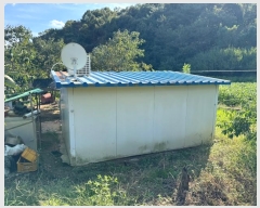  2024Ÿ21961 泲 ֽ Ǵ θ 251      ()