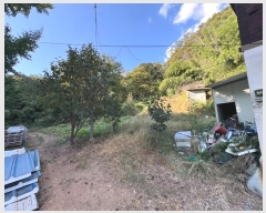  2024Ÿ21961 泲 ֽ Ǵ θ 251      ()