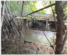  2024Ÿ21961 泲 ֽ Ǵ θ 251      ()