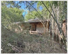  2024Ÿ21961 泲 ֽ Ǵ θ 251      ()