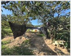  2024Ÿ21961 泲 ֽ Ǵ θ 251      ()