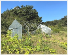  2024Ÿ21961 泲 ֽ Ǵ θ 251      ()