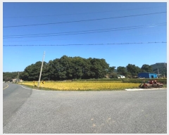  2024Ÿ21992 泲 û籺  Ѹ 547-1      ()