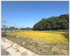  2024Ÿ21992 泲 û籺  Ѹ 547-1      ()