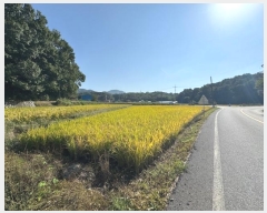  2024Ÿ21992 泲 û籺  Ѹ 547-1      ()