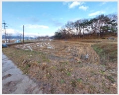  2024Ÿ21992 泲 û籺  Ѹ 547-1      ()