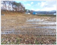  2024Ÿ21992 泲 û籺  Ѹ 547-1      ()