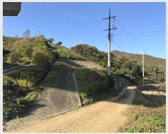  2024Ÿ22131 泲 ֽ ȸ  12-1      (Ӿ)