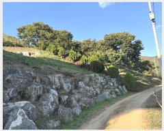  2024Ÿ22131 泲 ֽ ȸ  12-1      (Ӿ)