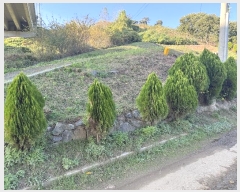  2024Ÿ22131 泲 ֽ ȸ  12-1      (Ӿ)