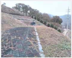  2024Ÿ22131 泲 ֽ ȸ  12-1      (Ӿ)