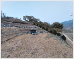  2024Ÿ22131 泲 ֽ ȸ  12-1      (Ӿ)