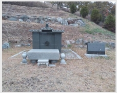  2024Ÿ22131 泲 ֽ ȸ  12-1      (Ӿ)