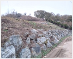  2024Ÿ22131 泲 ֽ ȸ  12-1      (Ӿ)