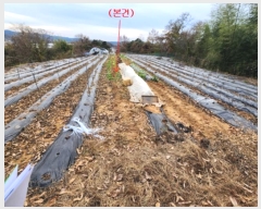  2024Ÿ��22254  �����