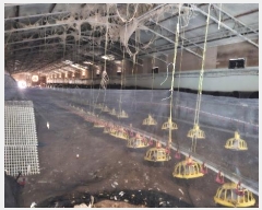  2024Ÿ��22285 �泲 ���ֽ� ���� ��õ��α� 27 (�ְ��๰��8��)     ���(�󰡽ü�)���