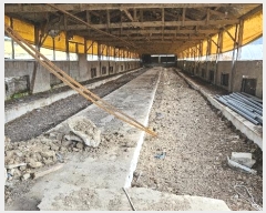  2024Ÿ��22285 �泲 ���ֽ� ���� ��õ��α� 27 (�ְ��๰��8��)     ���(�󰡽ü�)���