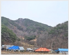  2024Ÿ22308 泲 ֽ ǳ  11      (Ӿ)