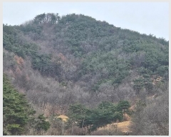  2024Ÿ22308 泲 ֽ ǳ  11      (Ӿ)