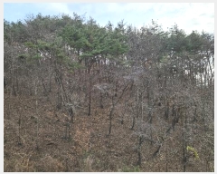  2024Ÿ22308 泲 ֽ ǳ  11      (Ӿ)