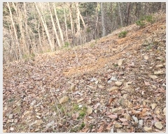  2024Ÿ22308 泲 ֽ ǳ  11      (Ӿ)