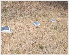  2024Ÿ22308 泲 ֽ ǳ  11      (Ӿ)