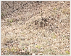  2024Ÿ22308 泲 ֽ ǳ  11      (Ӿ)