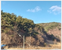  2024Ÿ22308 泲 ֽ ǳ  11      (Ӿ)