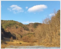  2024Ÿ22308 泲 ֽ ǳ  11      (Ӿ)