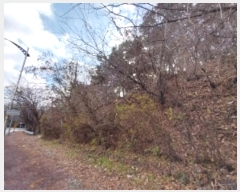  2024Ÿ��22315 �泲 ���ֽ� ������ 13-7       ����(�Ӿ�)���