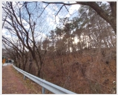  2024Ÿ��22315 �泲 ���ֽ� ������ 13-7       ����(�Ӿ�)���