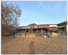  2024Ÿ22346 泲 ֽ źõ и 461-8      ð