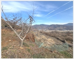  2024Ÿ��22360 �泲 û�籺 ����� ��õ�� 96      ����(��1)���