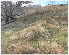  2024Ÿ��22360 �泲 û�籺 ����� ��õ�� 96      ����(��1)���