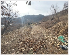  2024Ÿ��22360 �泲 û�籺 ����� ��õ�� 96      ����(��1)���