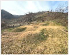  2024Ÿ��22360 �泲 û�籺 ����� ��õ�� 96      ����(��1)���