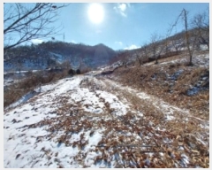  2024Ÿ��22360 �泲 û�籺 ����� ��õ�� 96      ����(��1)���