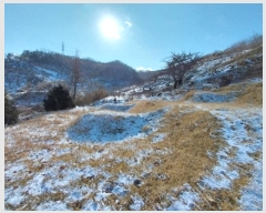  2024Ÿ��22360 �泲 û�籺 ����� ��õ�� 96      ����(��1)���