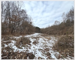  2024Ÿ��22384 �泲 ���ֽ� ���θ� �ſ��� ��22      ����(�Ӿ�)���