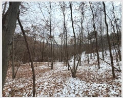  2024Ÿ��22384 �泲 ���ֽ� ���θ� �ſ��� ��22      ����(�Ӿ�)���