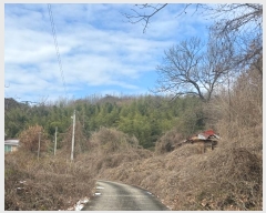  2024Ÿ��22384 �泲 ���ֽ� ���θ� �ſ��� ��22      ����(�Ӿ�)���