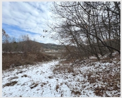  2024Ÿ��22384 �泲 ���ֽ� ���θ� �ſ��� ��22      ����(�Ӿ�)���