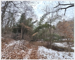  2024Ÿ��22384 �泲 ���ֽ� ���θ� �ſ��� ��22      ����(�Ӿ�)���