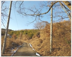  2024Ÿ��22384 �泲 ���ֽ� ���θ� �ſ��� ��22      ����(�Ӿ�)���