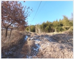  2024Ÿ��22384 �泲 ���ֽ� ���θ� �ſ��� ��22      ����(�Ӿ�)���