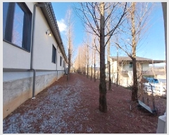  2024Ÿ��22520  �ٸ��ü����