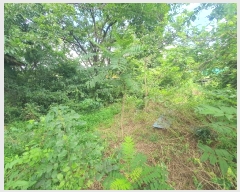  2024Ÿ��2970 �泲 ������ �۾��� �ΰ 340-5      ���ð��